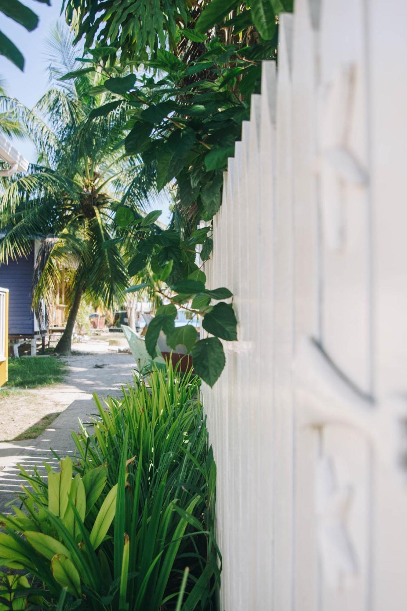 Bed & Breakfast Riva Bocas del Toro
