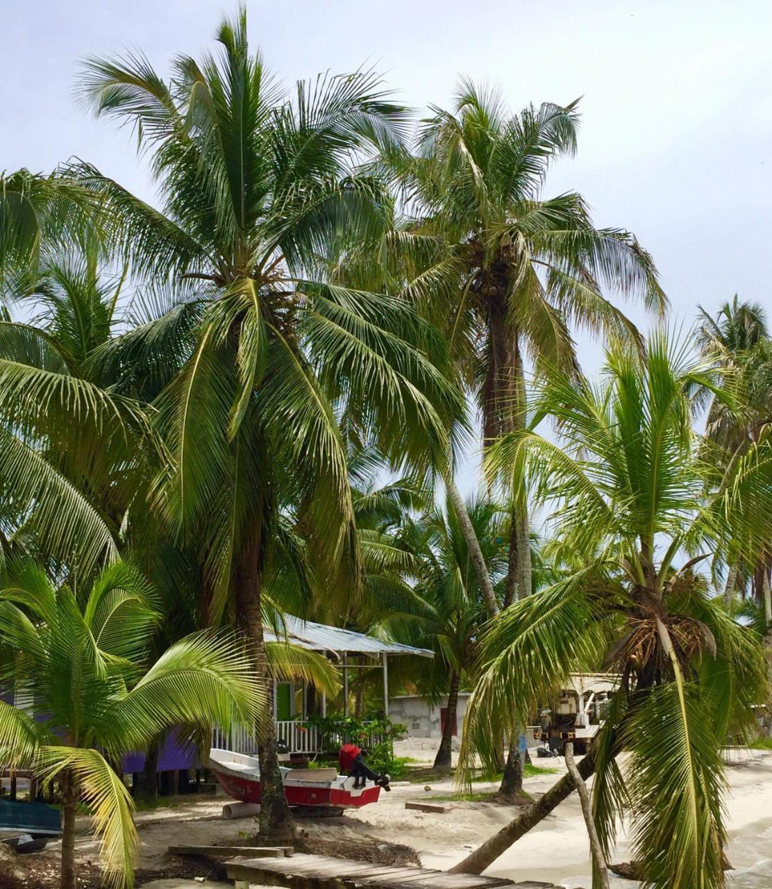 Bed & Breakfast Riva Bocas del Toro